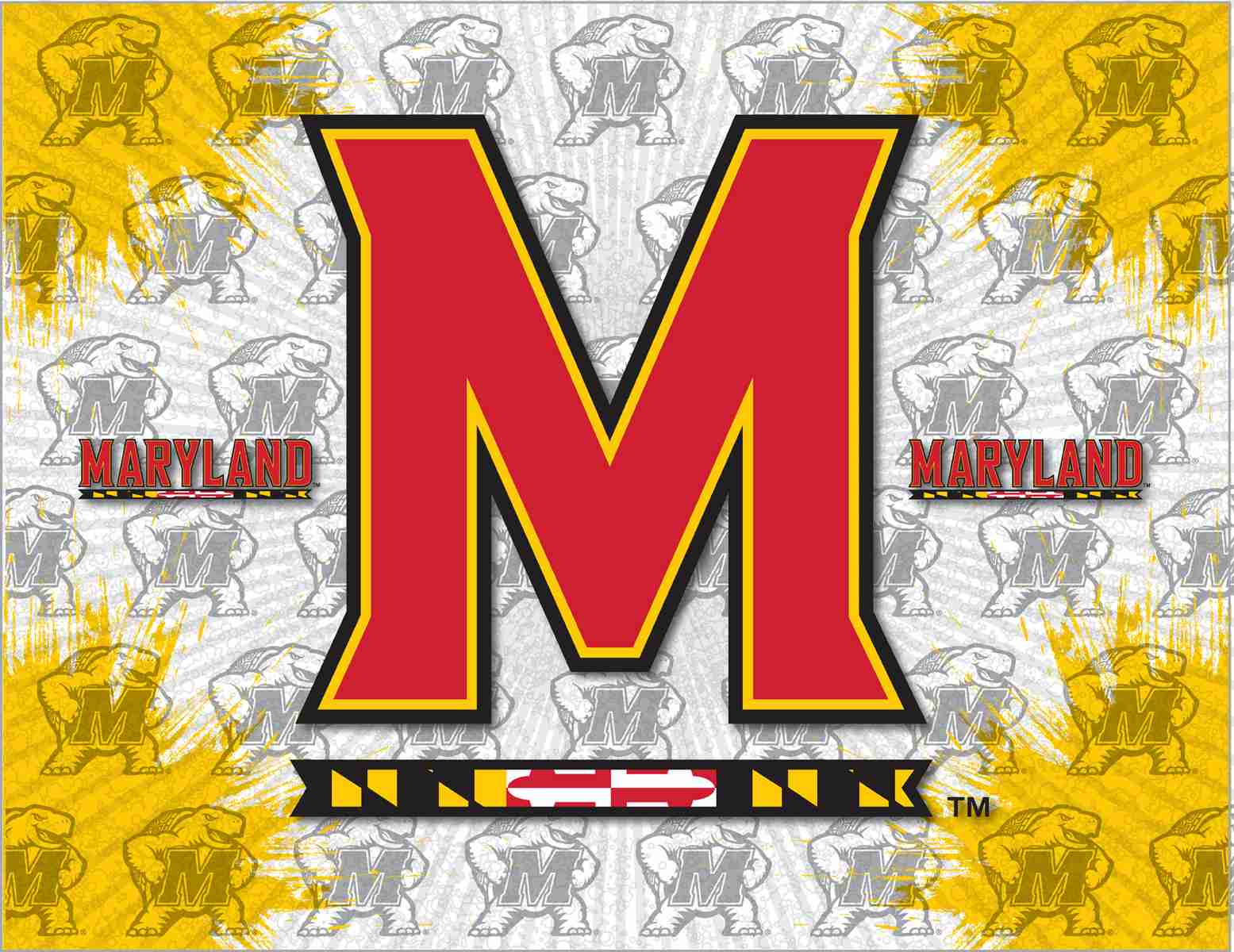 University of Maryland 24x32 Logo Canvas Wall Art