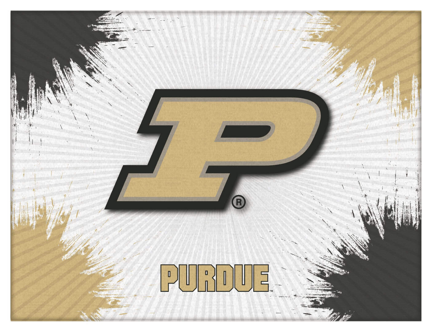 Purdue 24x32 Logo Canvas Wall Art
