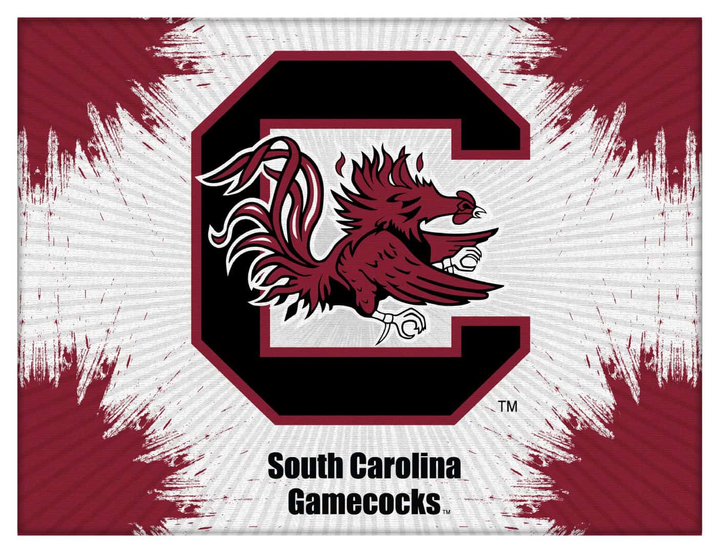 University of South Carolina 15x20 Logo Canvas Wall Art