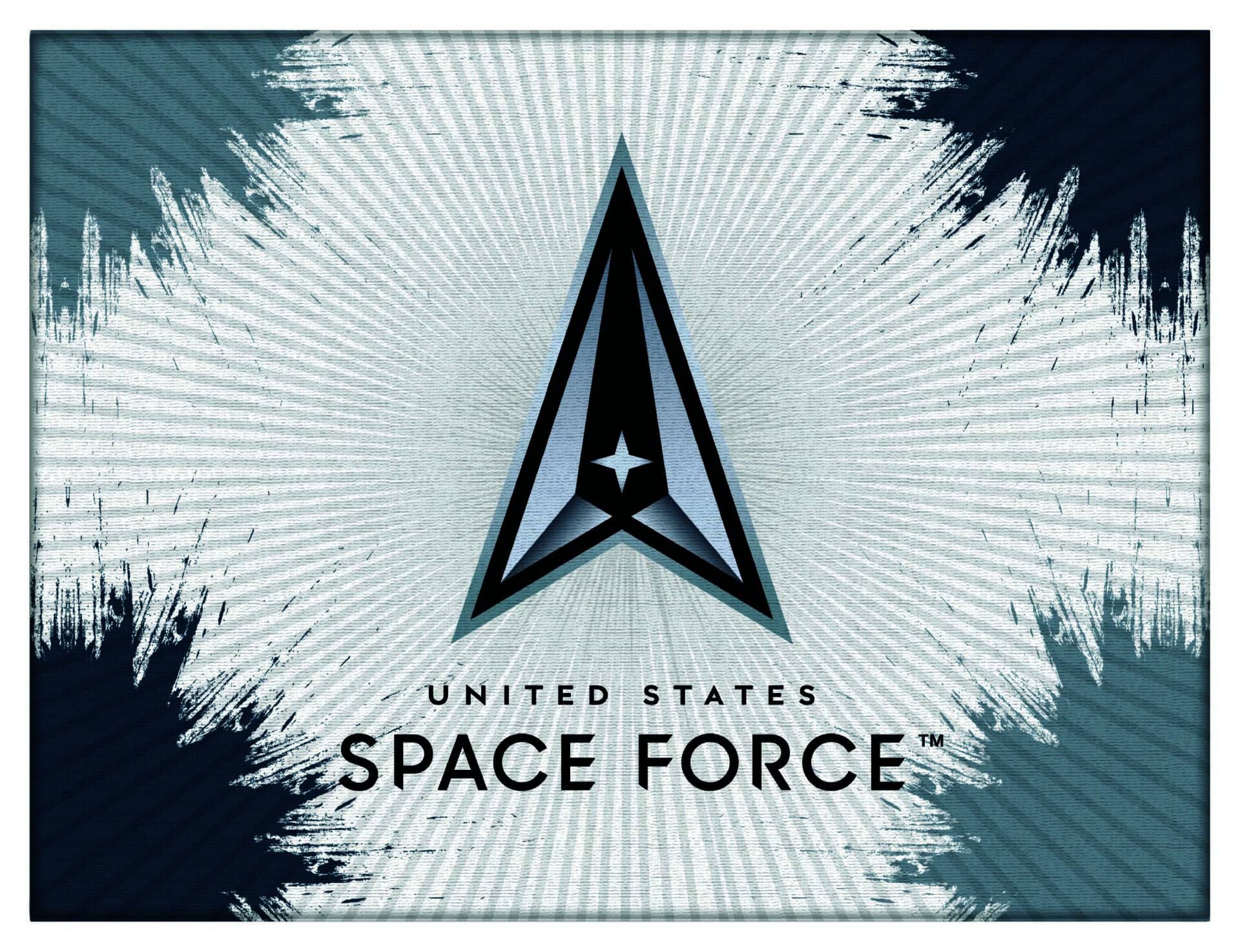 United States Space Force 15x20 Logo Canvas Wall Art