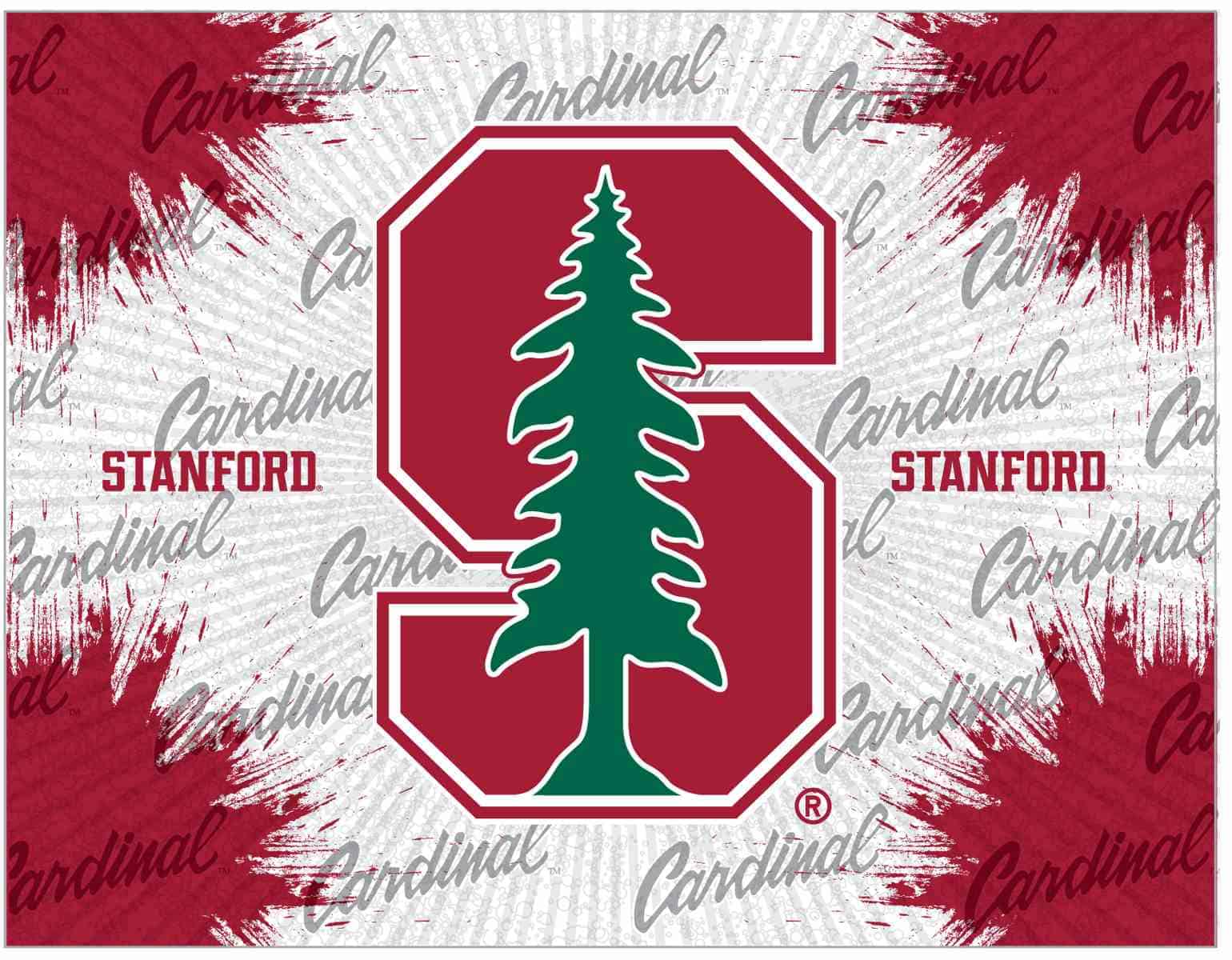 Stanford University 24x32 Logo Canvas Wall Art