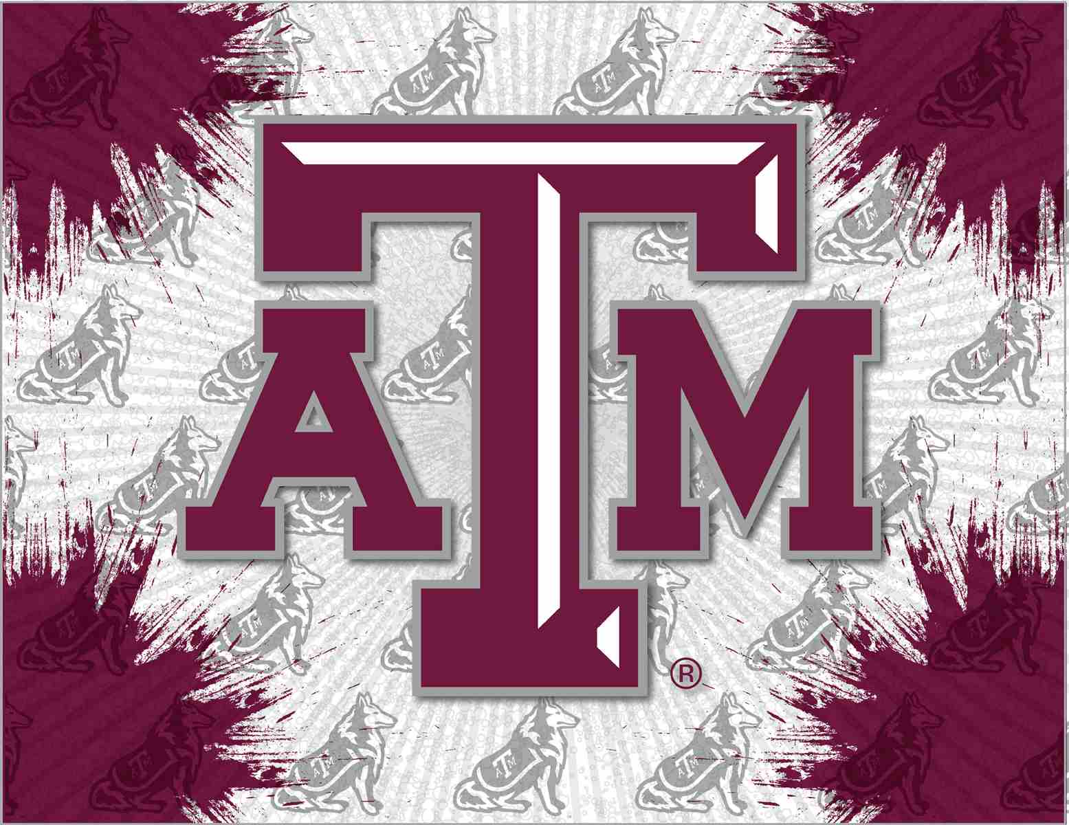 Texas A&M 24x32 Logo Canvas Wall Art