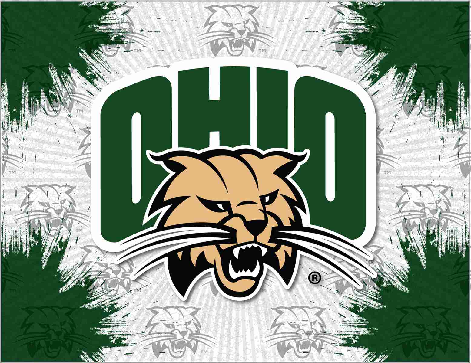 Ohio University 24x32 Logo Canvas Wall Art