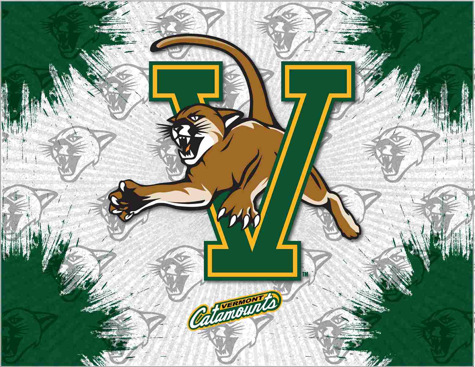 University of Vermont 15x20 Logo Canvas Wall Art