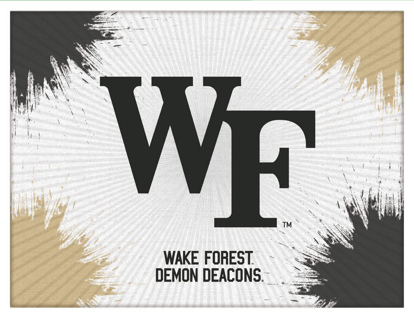 Wake Forest University 24x32 Logo Canvas Wall Art