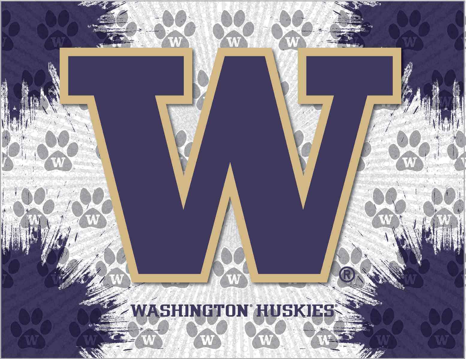 University of Washington 24x32 Logo Canvas Wall Art