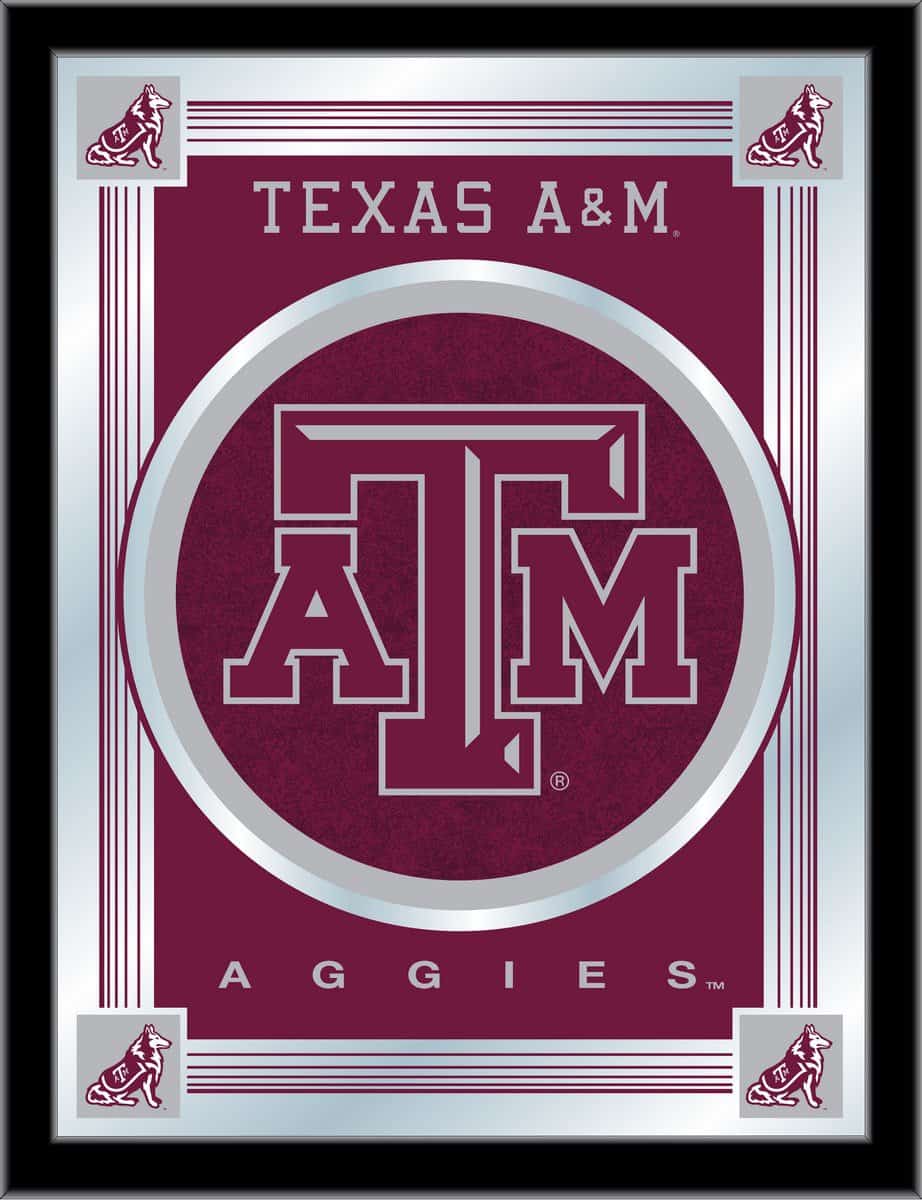 Texas A&M 17x22 Logo Wall Mirror