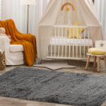 Soft 5 x 7 Feet Rectangular Shag Area Rug for Living Room