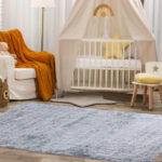 Soft 5 x 7 Feet Rectangular Shag Area Rug for Living Room