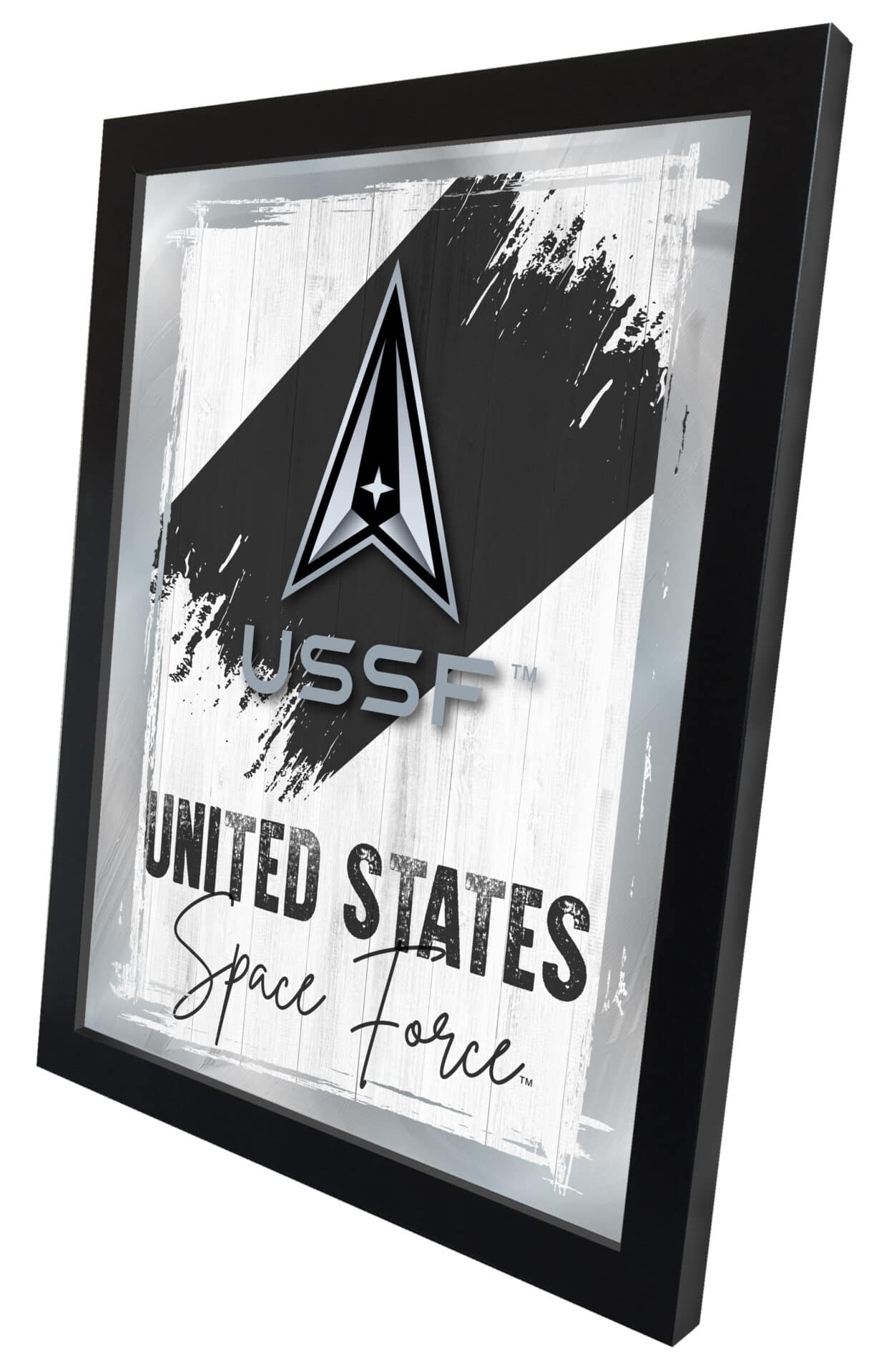 United States Space Force 17x22 Logo Wall Mirror (Alternate) - Image 2