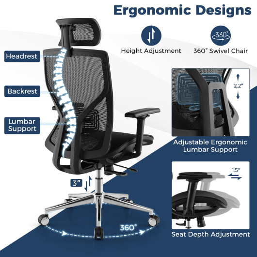 Ergonomic Mesh Executive Chair with Adjustable Lumbar and Reclining Design