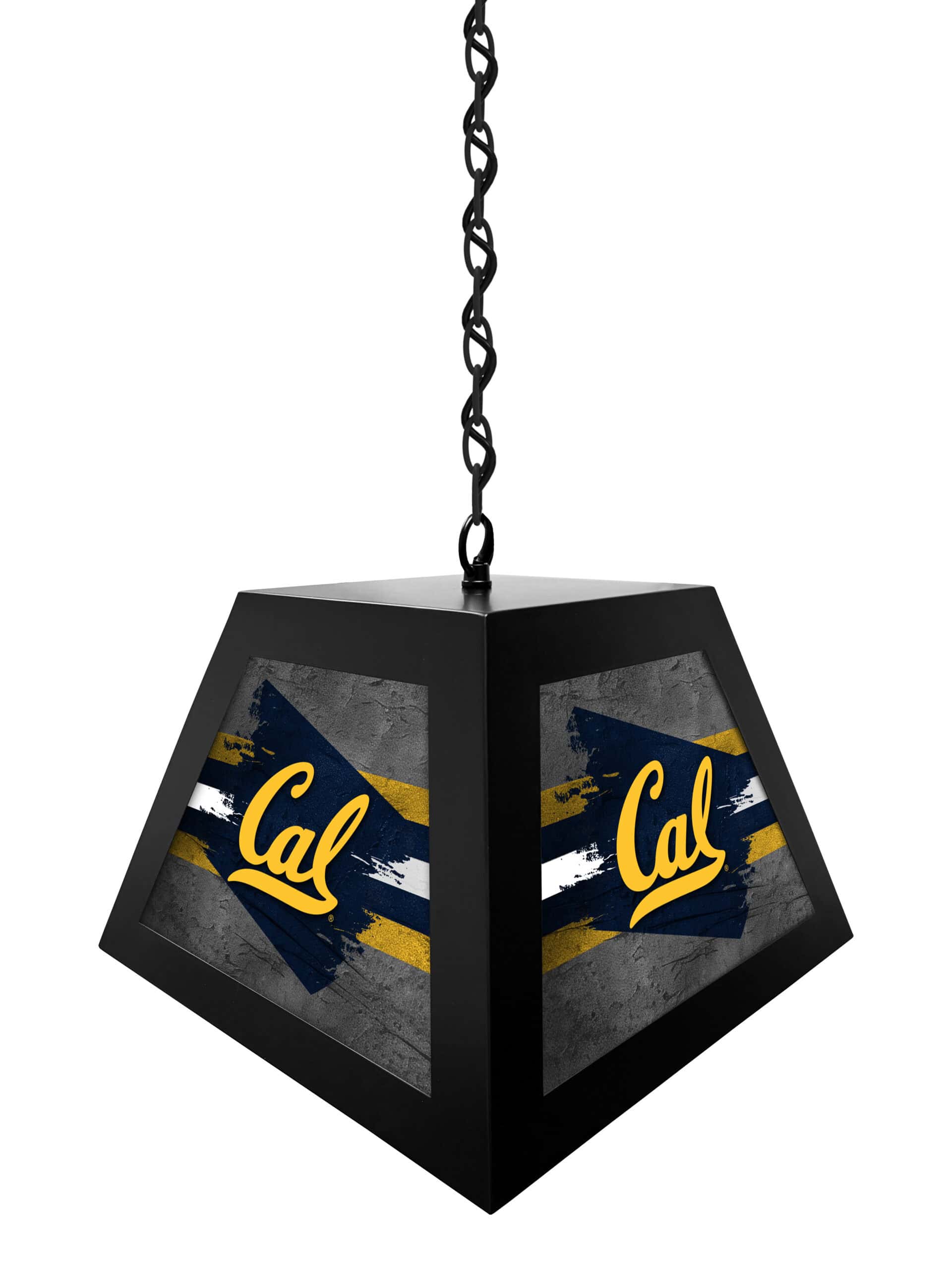 university of california pendant box light