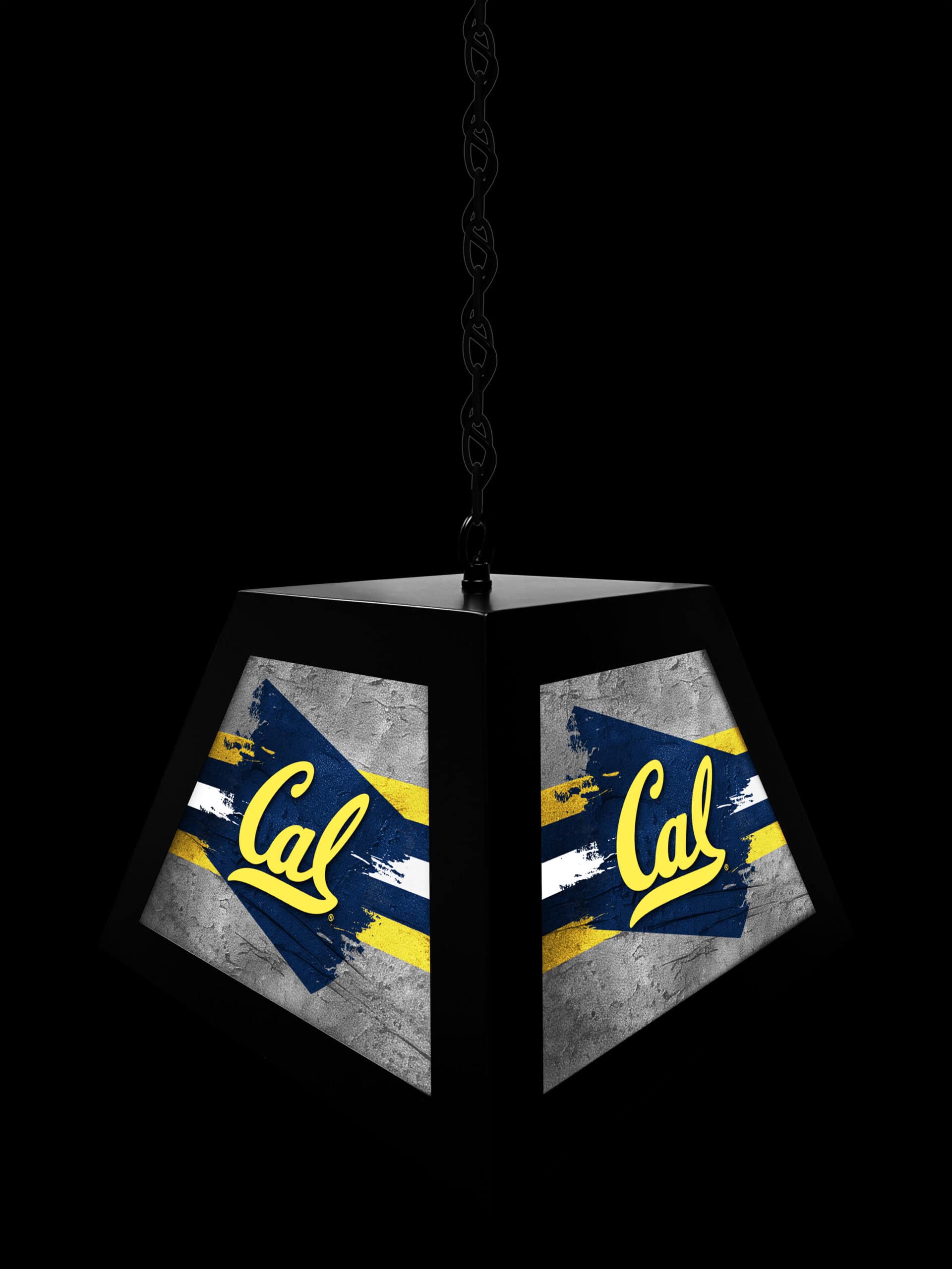 university of california pendant box light