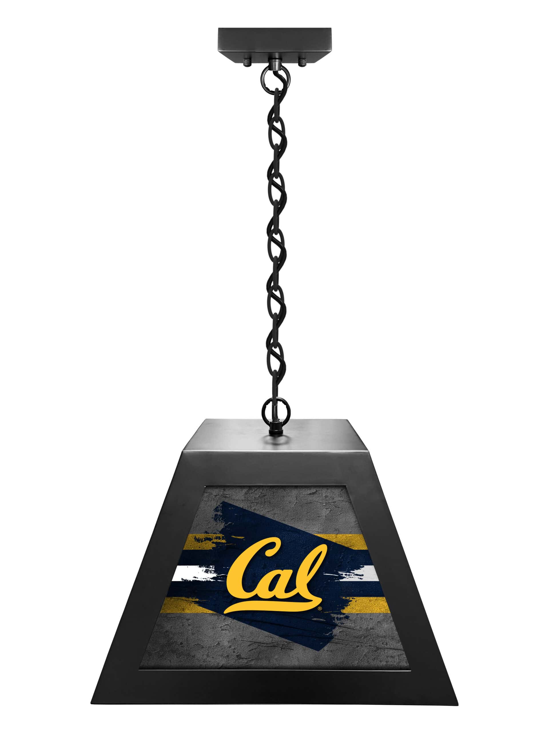 university of california pendant box light