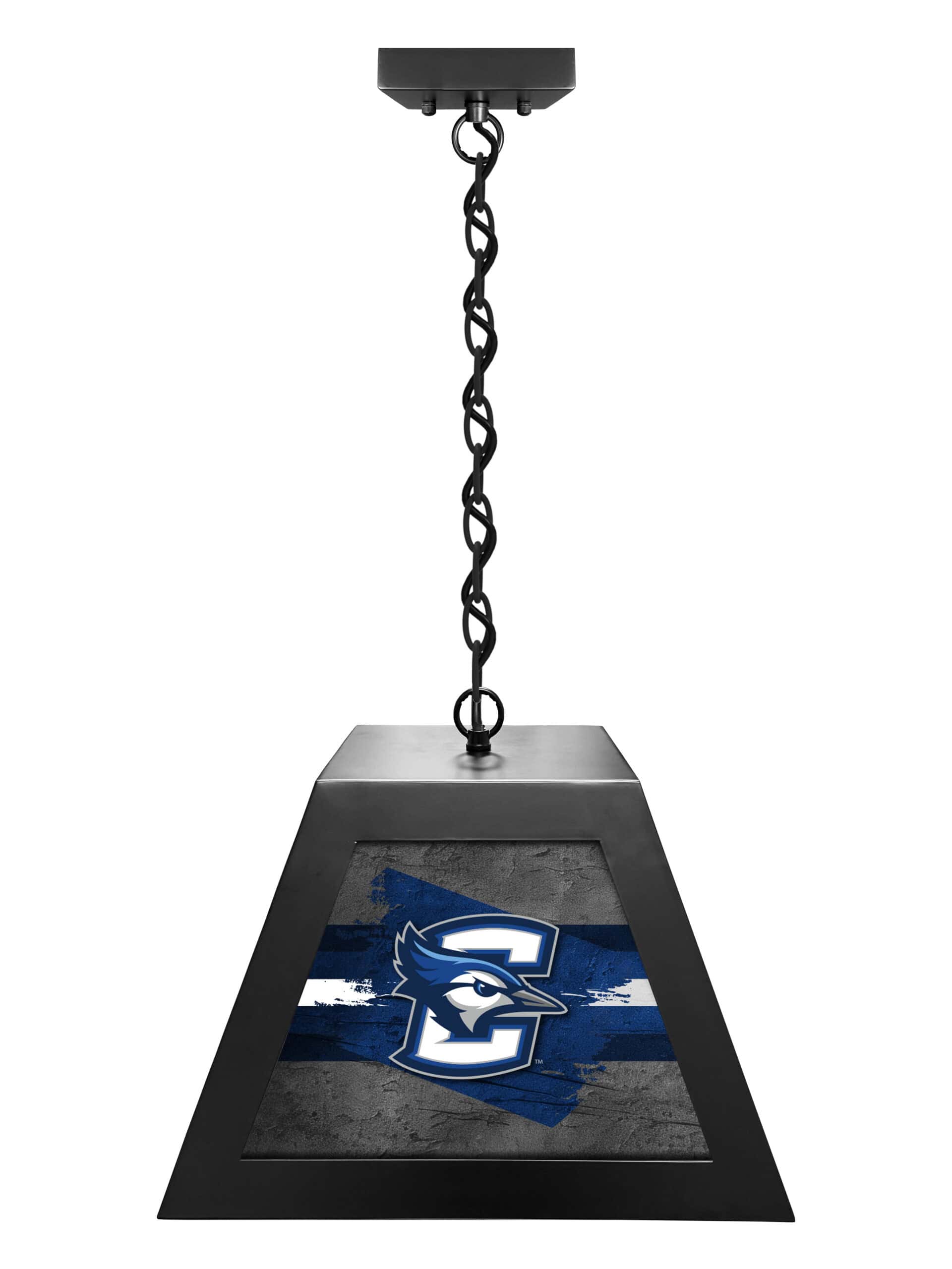 creighton university pendant box light