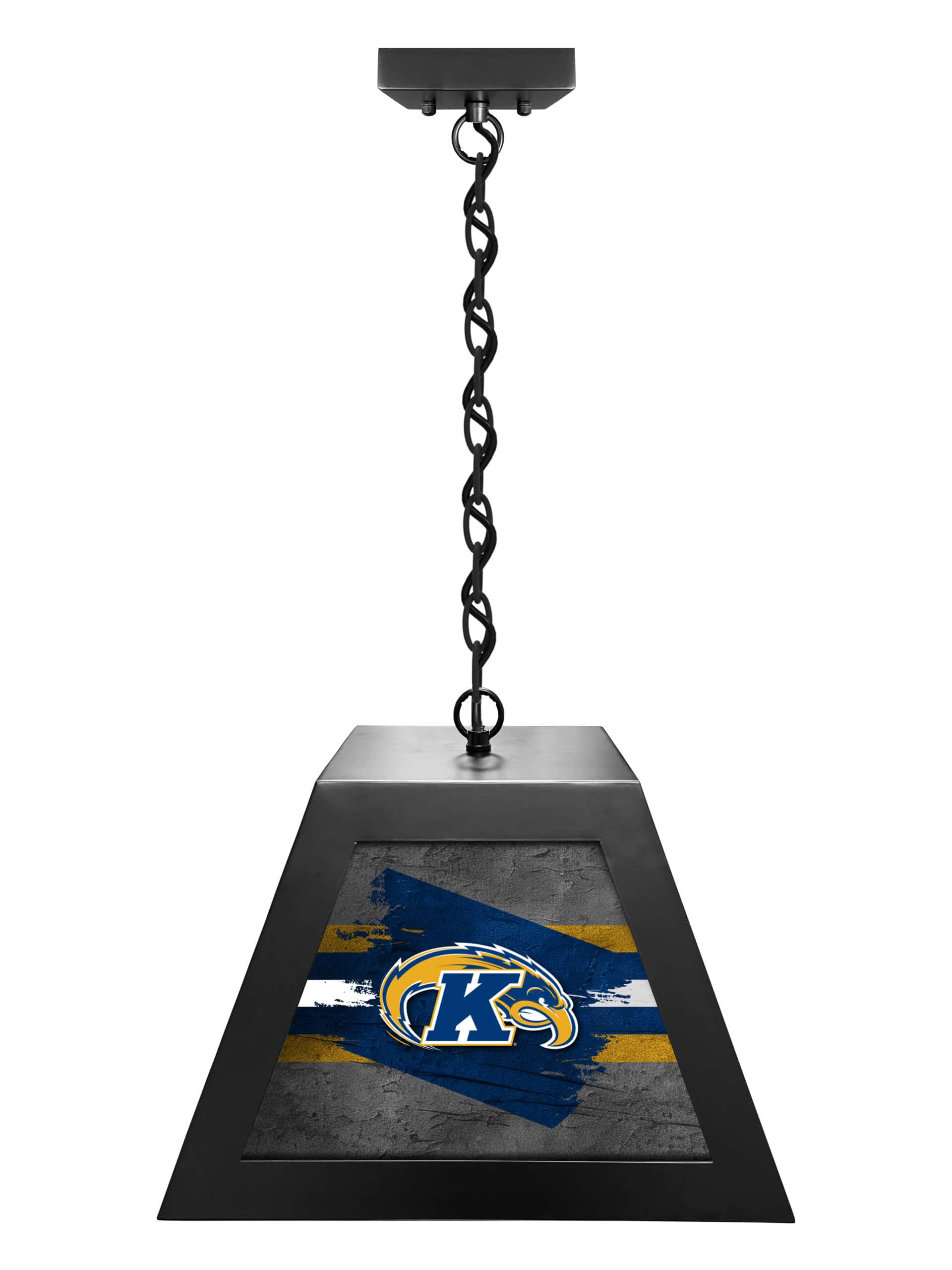 kent state university pendant box light