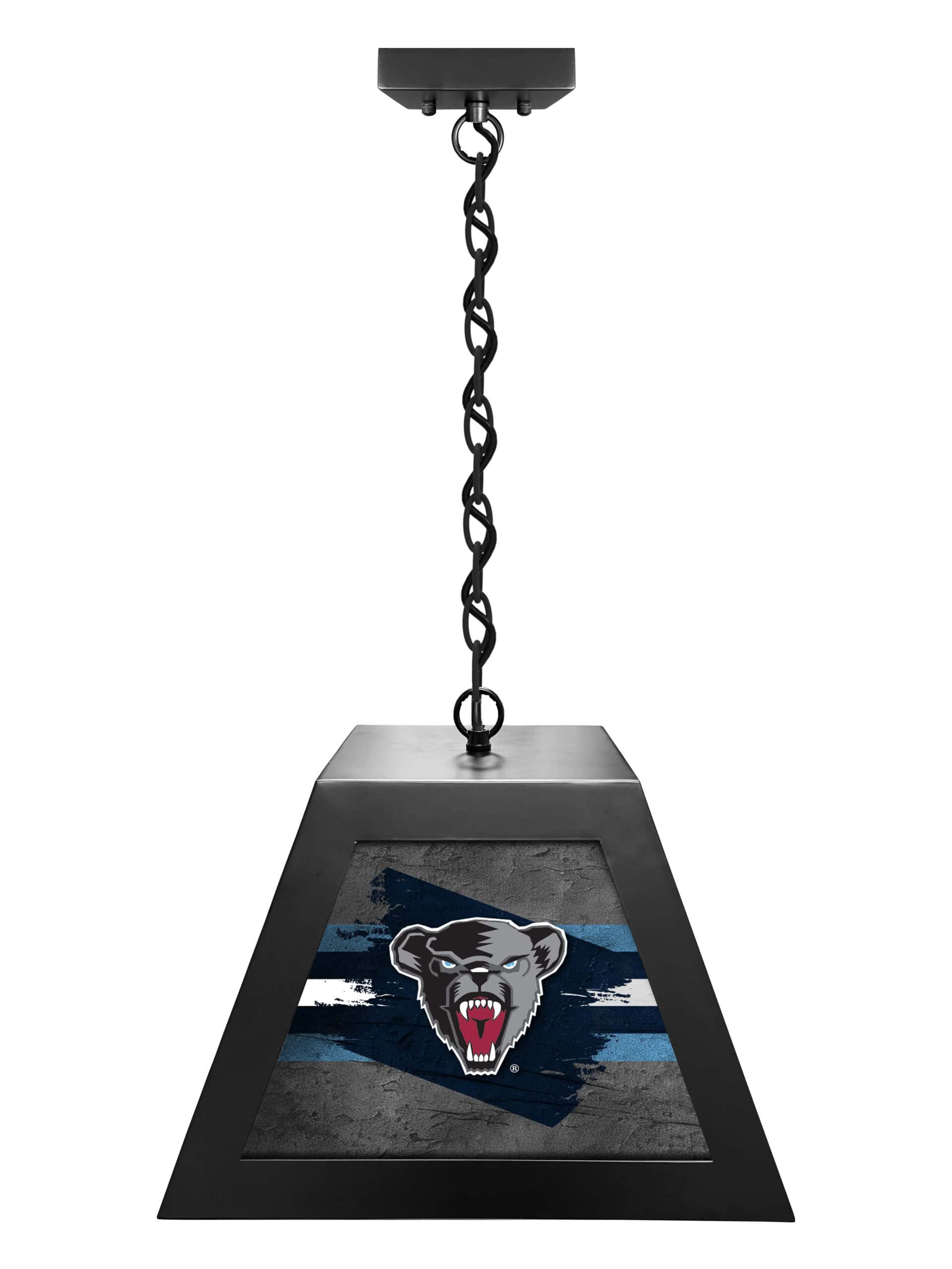 university of maine pendant box light