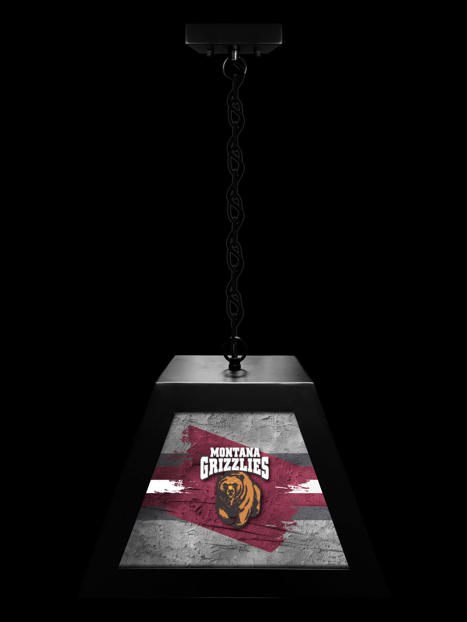 university of montana pendant box light