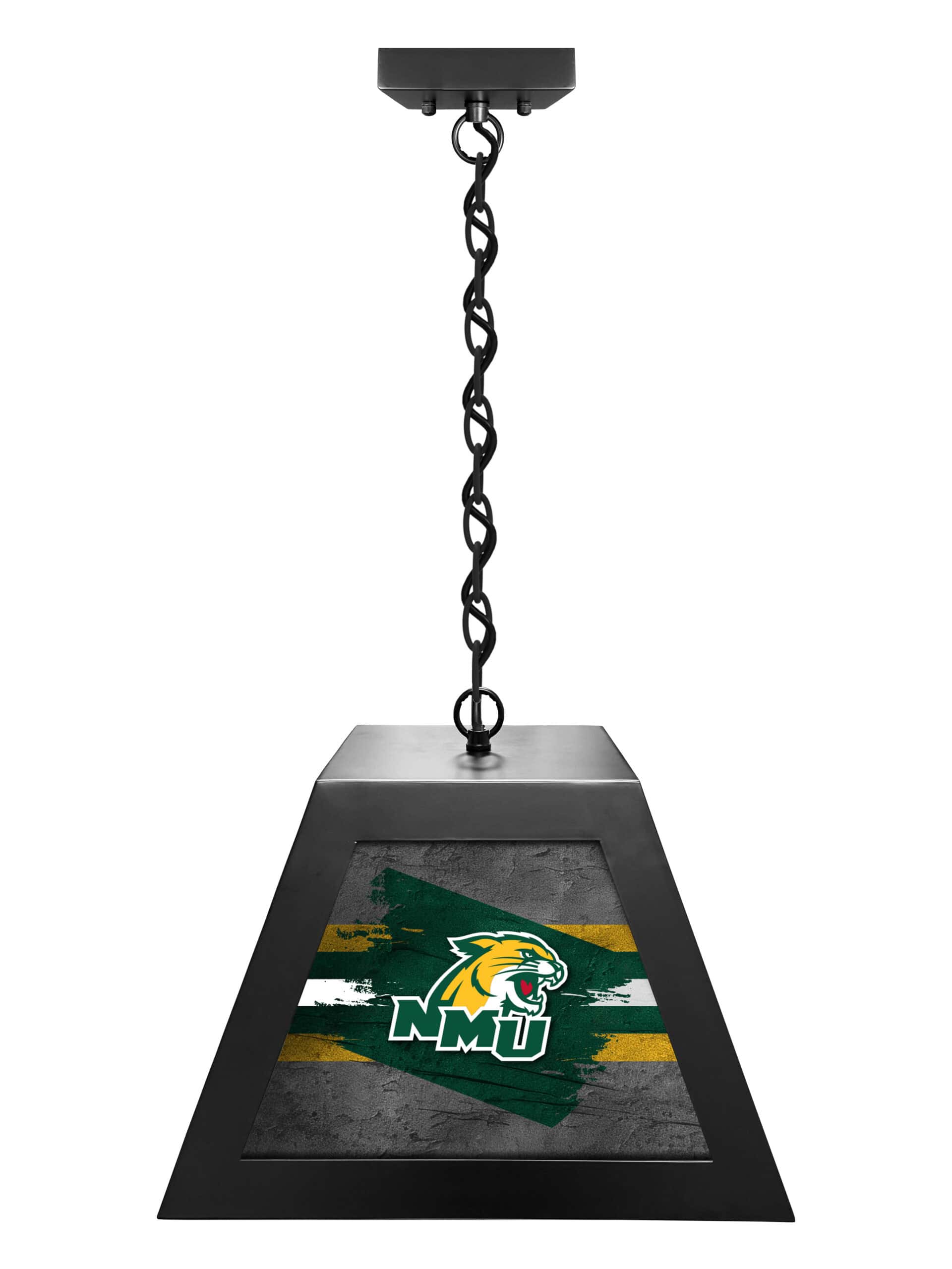 northern michigan university pendant box light