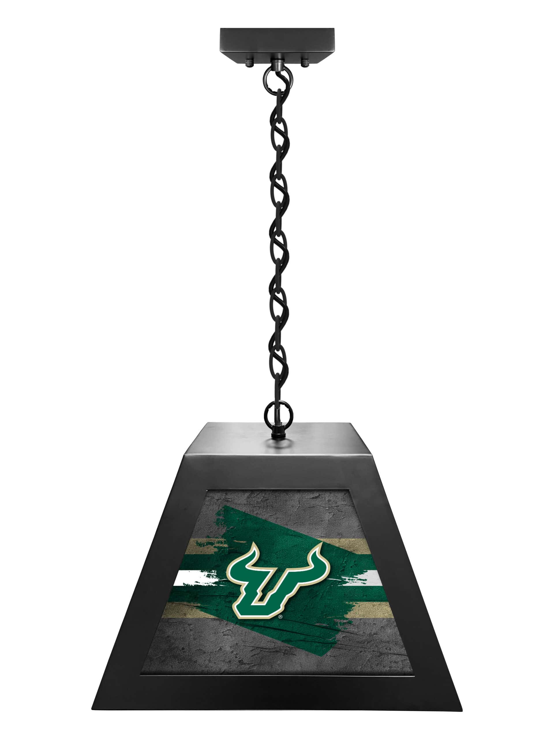 university of south florida pendant box light