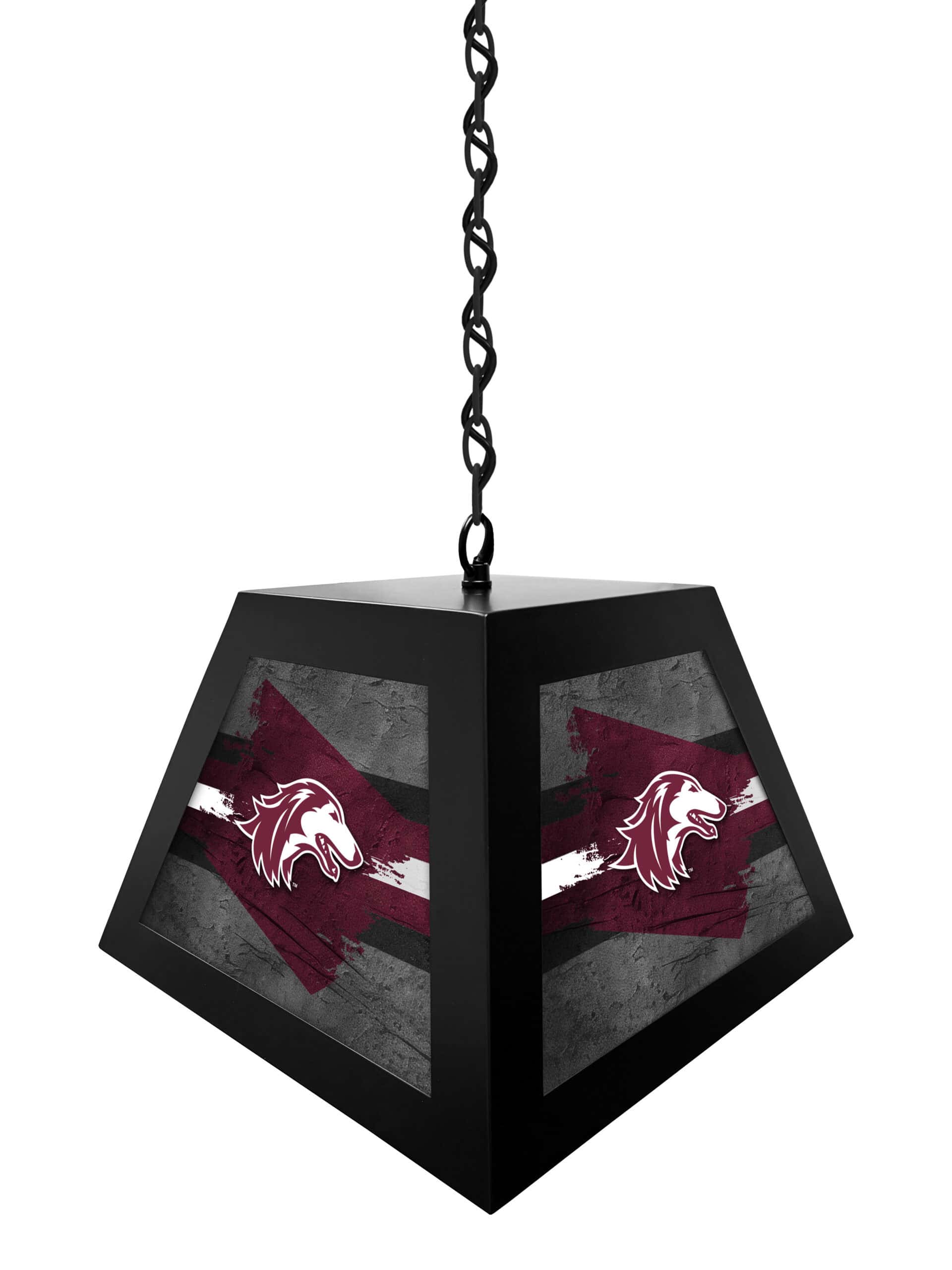 southern illinois university pendant box light