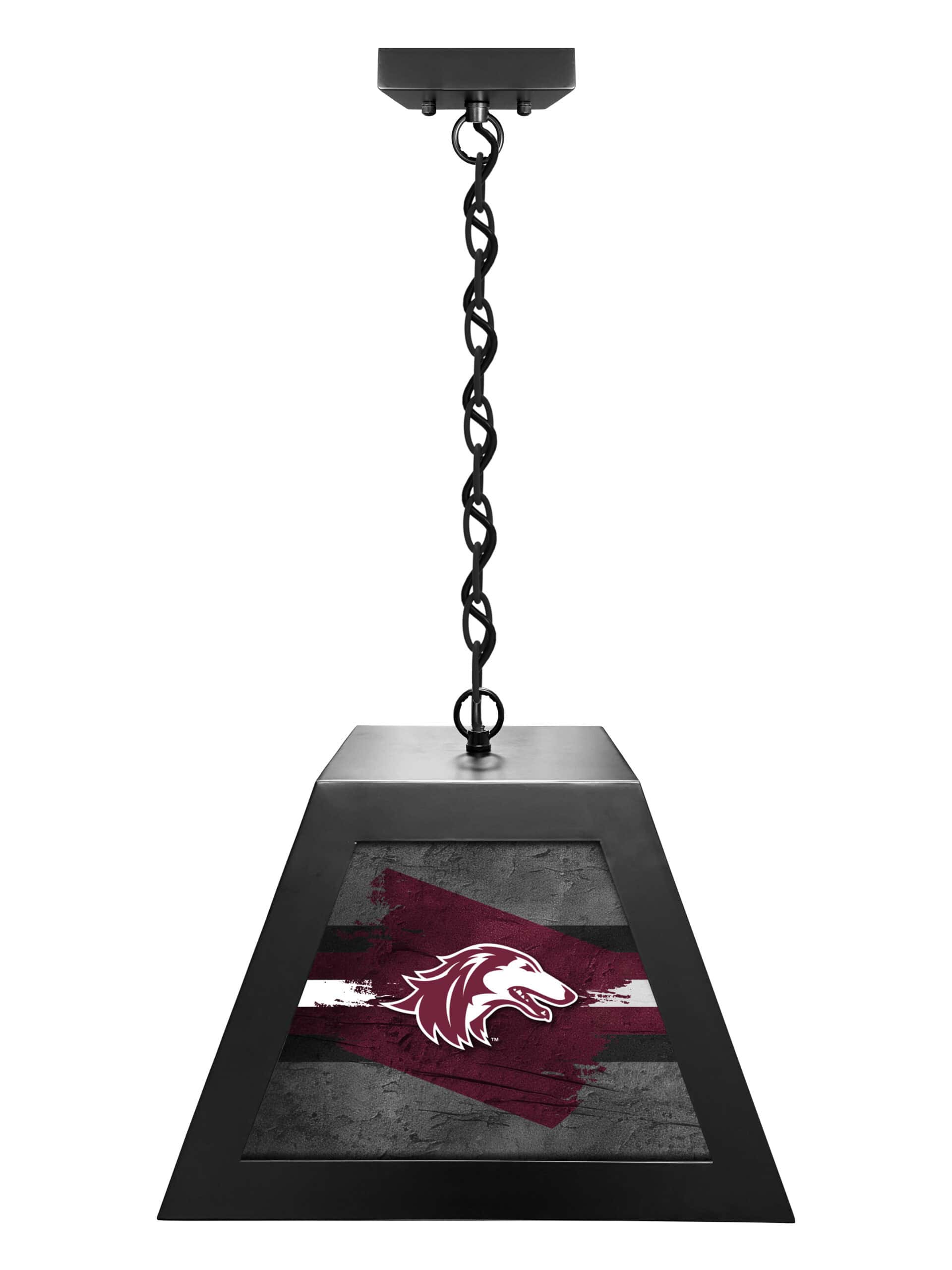southern illinois university pendant box light