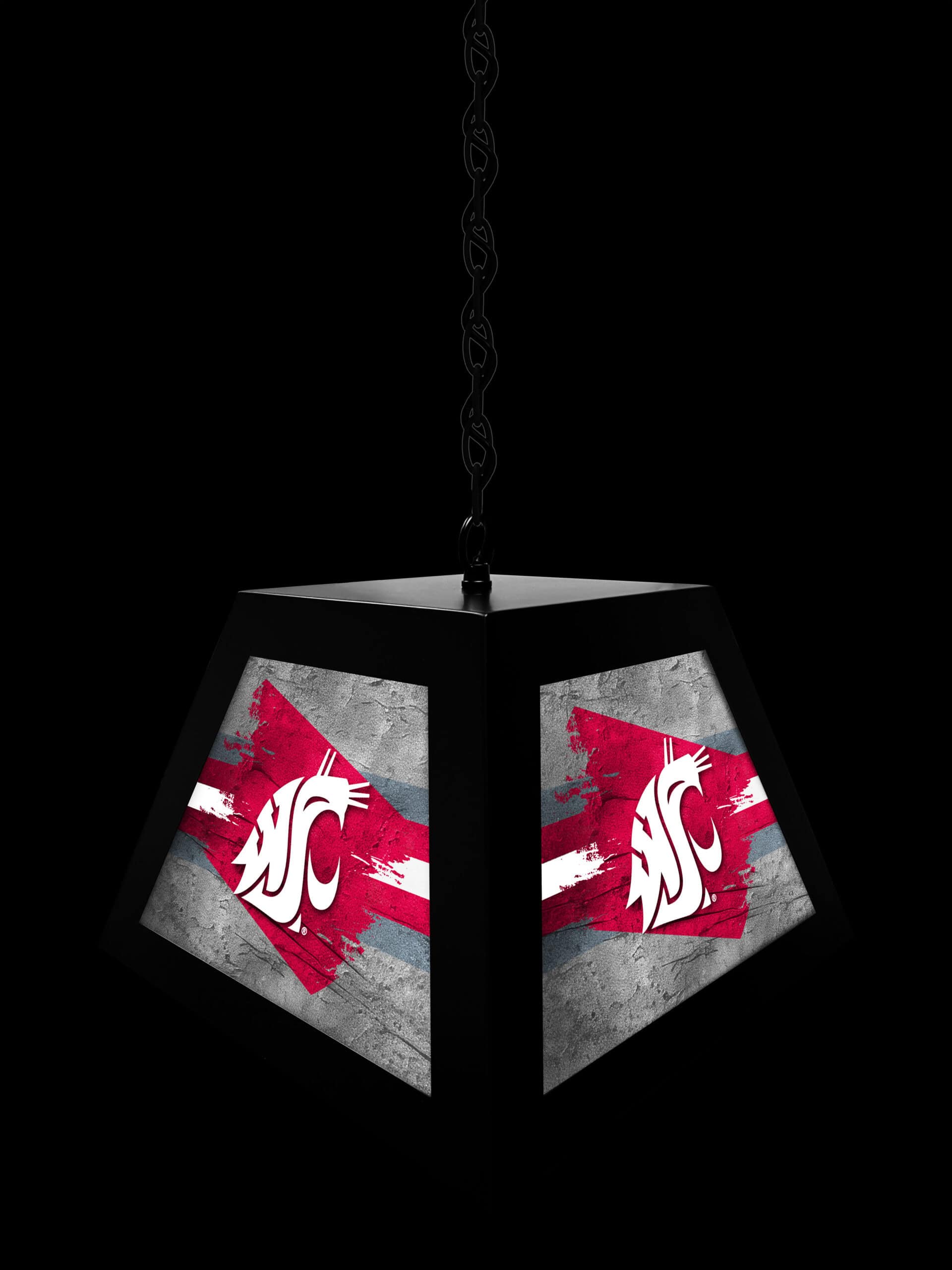 washington state university pendant box light