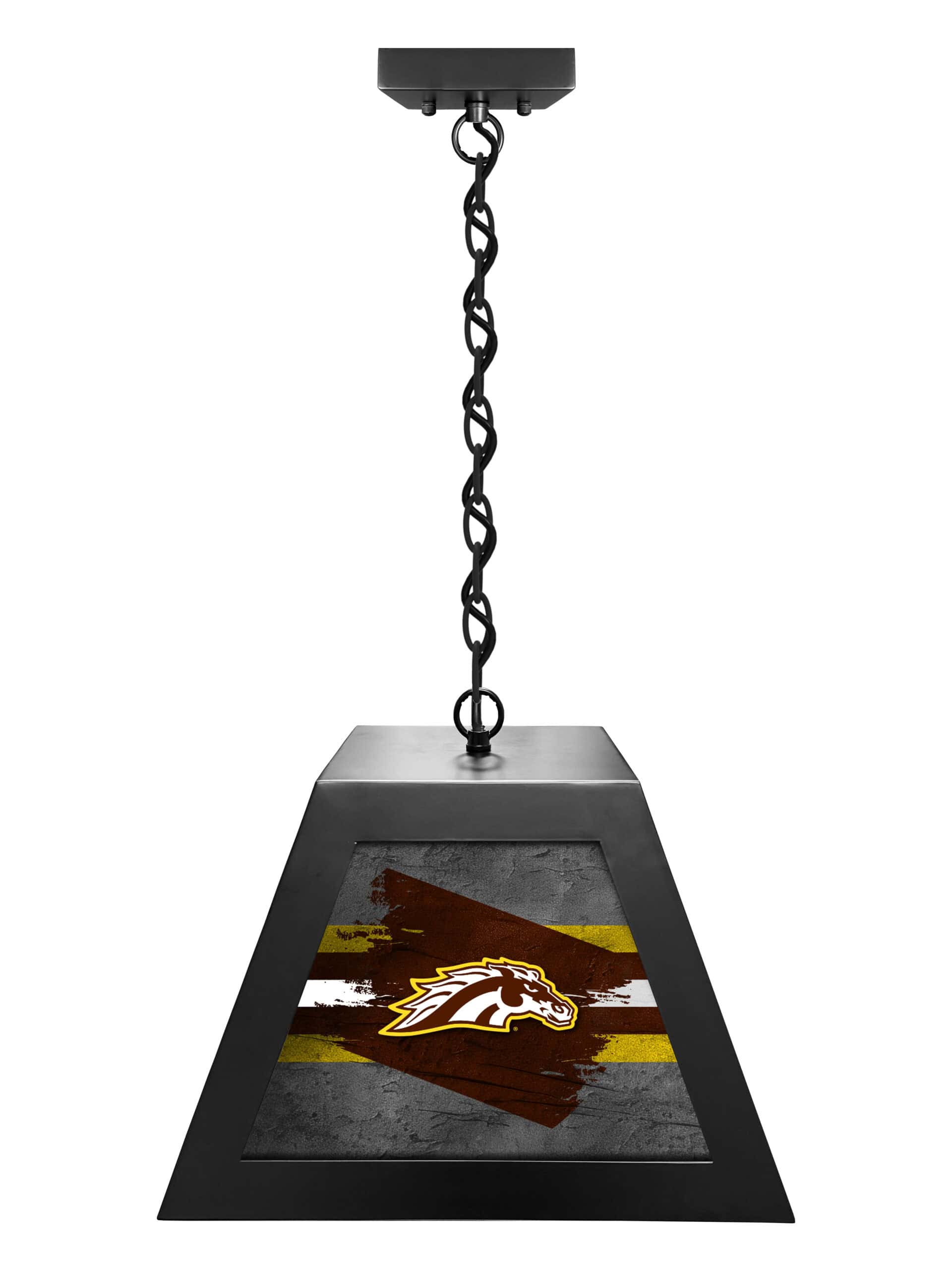 western michigan university pendant box light