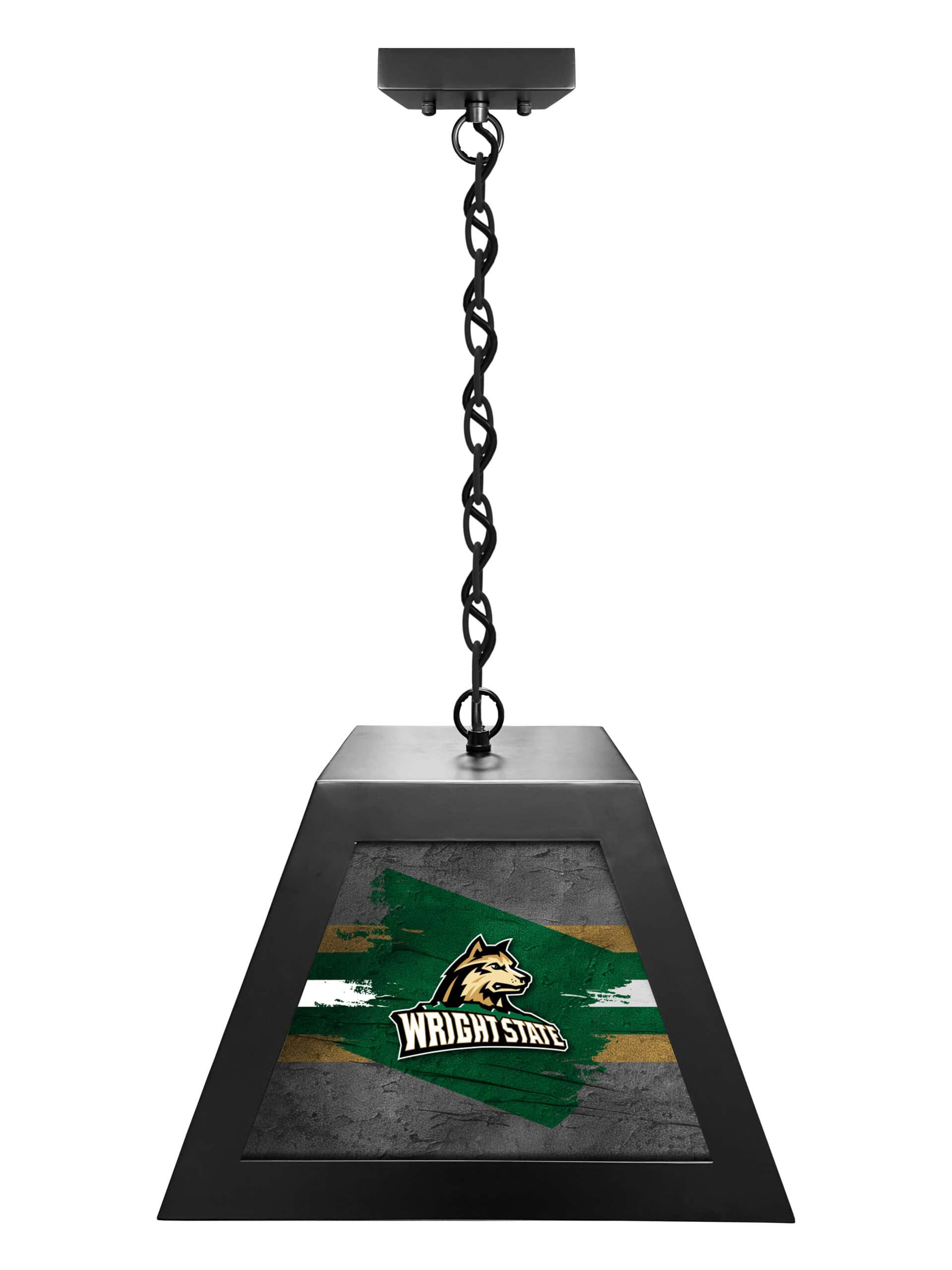 wright state university pendant box light