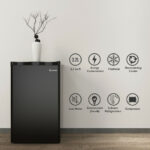 Compact Black Mini Fridge with Freezer and Adjustable Shelves