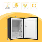 Compact 3.0 cu. ft. Upright Freezer with Stainless Steel Door