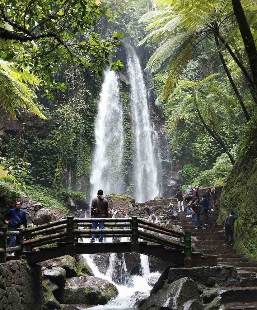 Visitors walking down steps through forest to Tirathgarh Waterfall