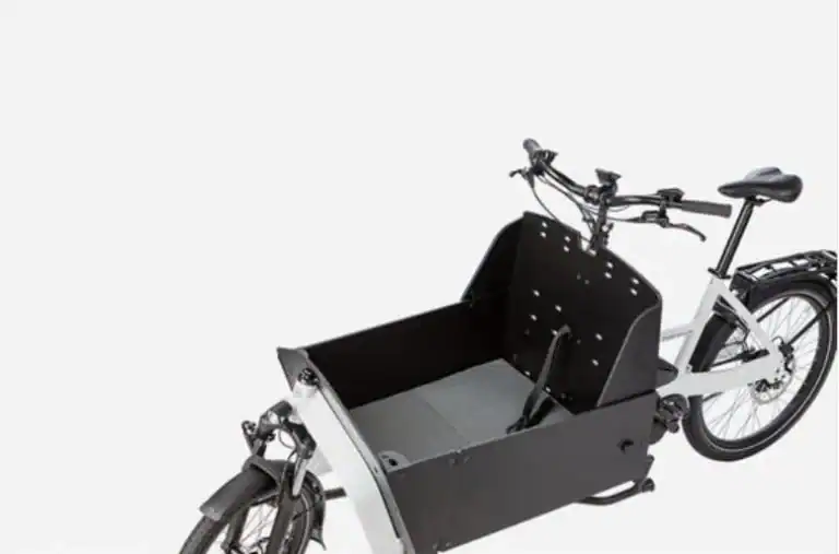 Riese & Müller Transporter 65 vario + Hunde-Kit