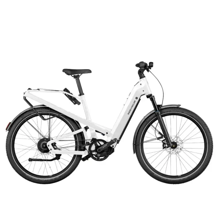 Riese & Müller Homage GT vario