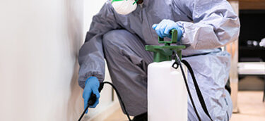 Pest-control Pest-control