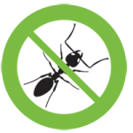 ant control northern beaches