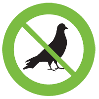 bird control northern beaches