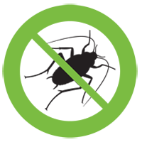 cockroach control northern beaches