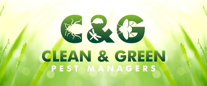 newport pest controllers