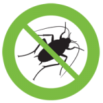 northern beaches cockroach control