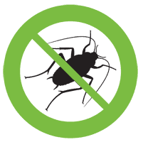 northern beaches cockroach control