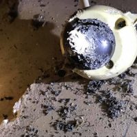 rat-removal