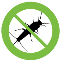 silverfish control services