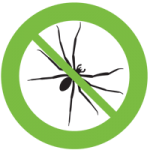 spider control northern beaches