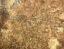 Termites in carpet