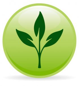 green pest control frenchs forest