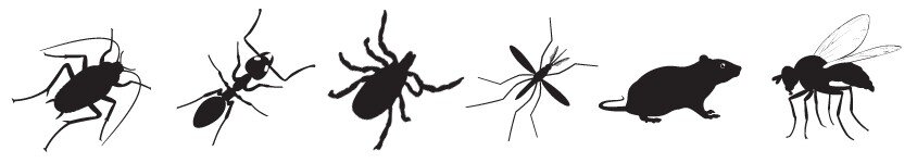 manly pest control services