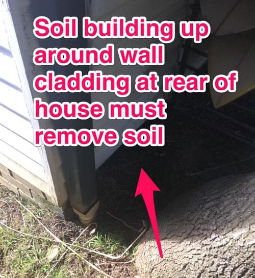 northern beaches termite prevention