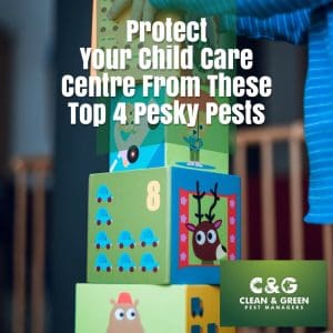 Protect Your Child Care Centre from Pests