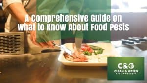 What to know about food pests